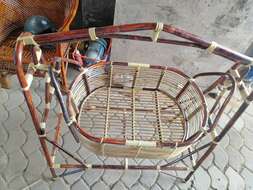 Image of rattan