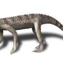 Image of Dibothrosuchus