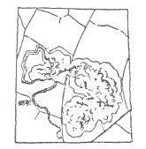 Ectoedemia nyssaefoliella (Chambers 1880) Wilkinson et al. 1981的圖片