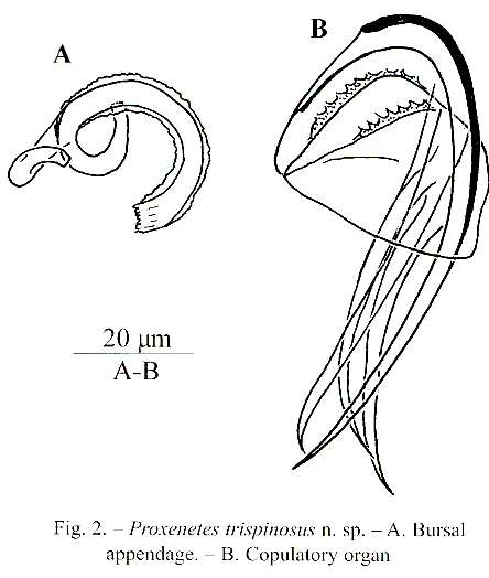 Image de Proxenetes