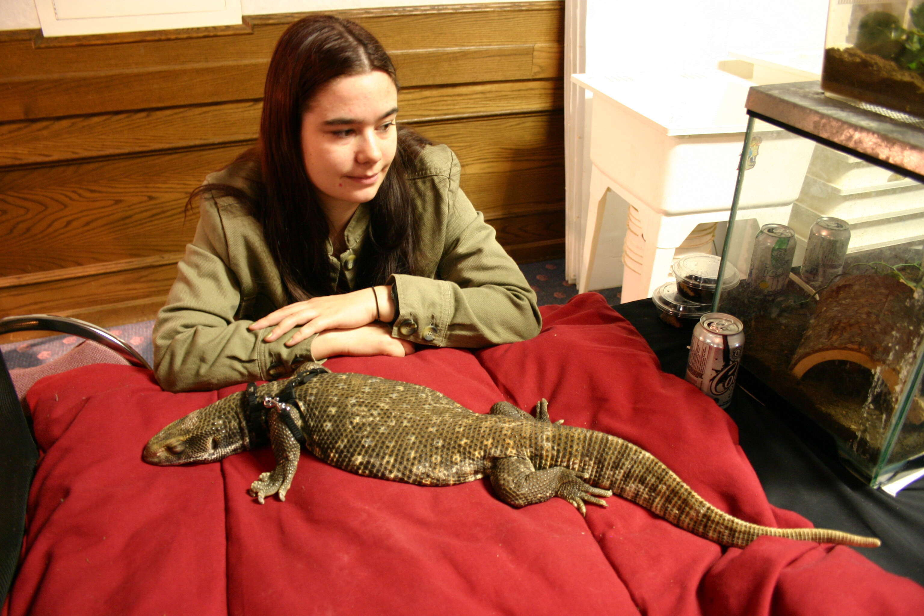 Image of Savannah Monitor