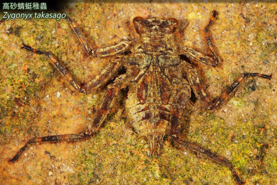 Image of Cascaders