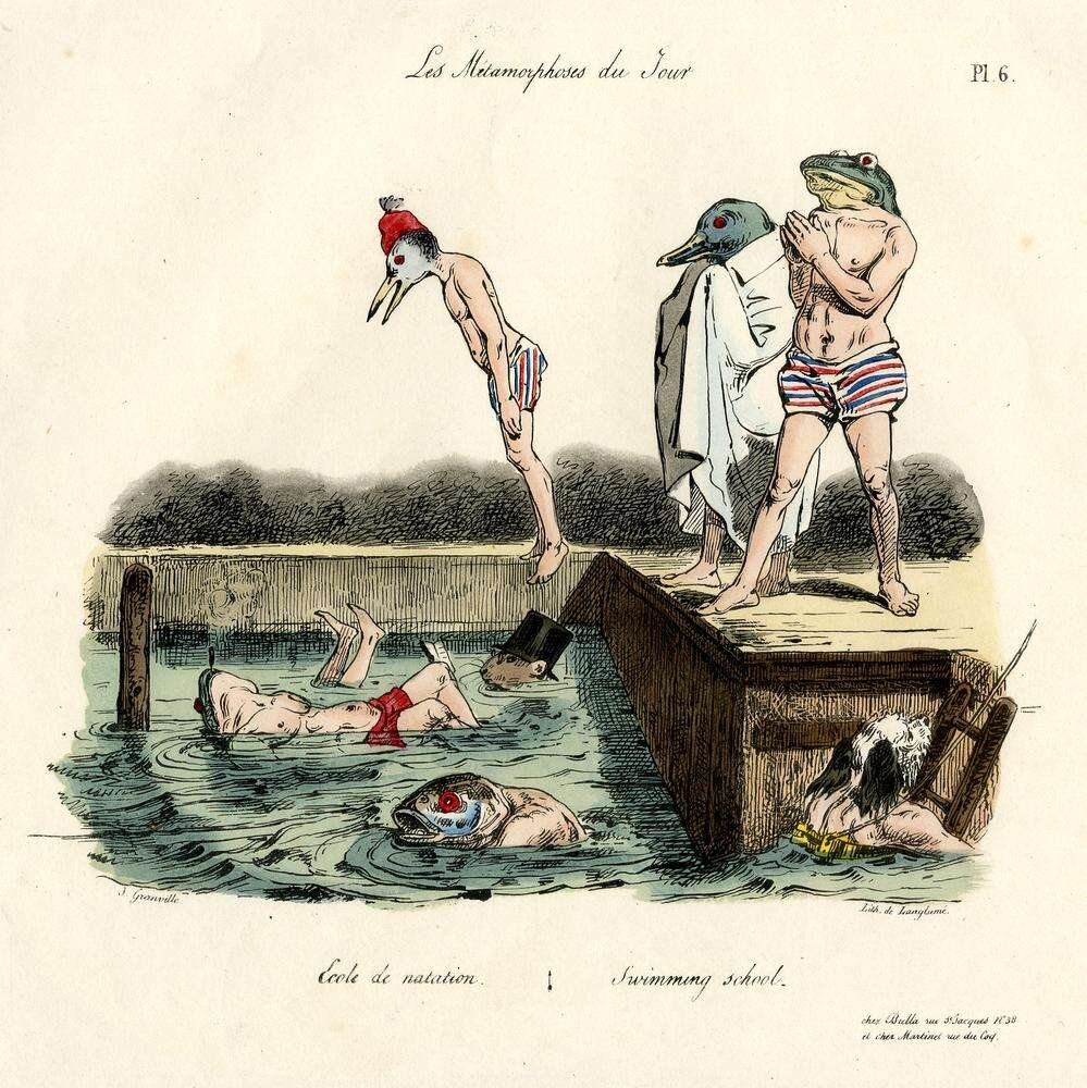 Image de Arvicola Lacépède 1799
