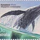 Слика од грбав кит