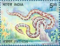Image of Python Daudin 1803