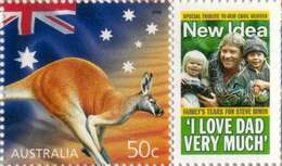 Image of red kangaroo