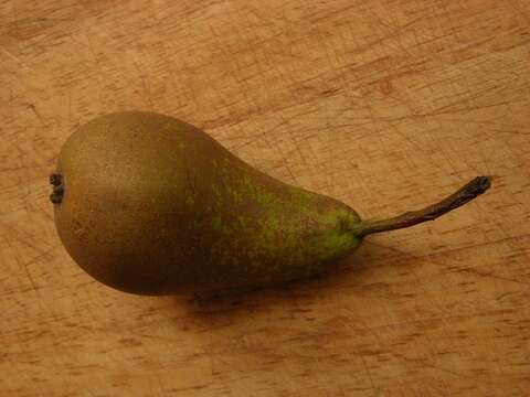 Image of pear