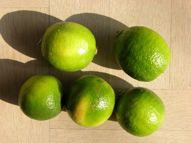 Image of citrus