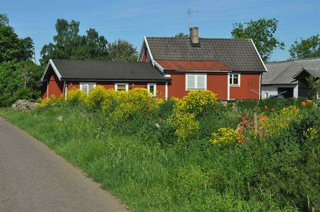 Image of wartycabbage