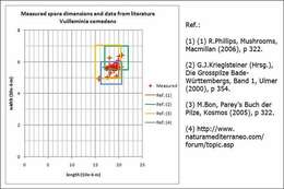 Plancia ëd Corticiales