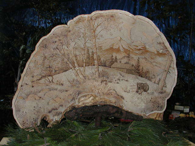 Image of Ganoderma