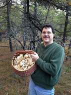 Image of White Matsutake