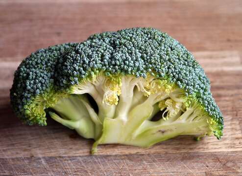 Image of sprouting broccoli