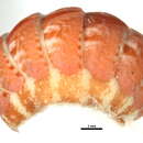 Image of northern red chiton