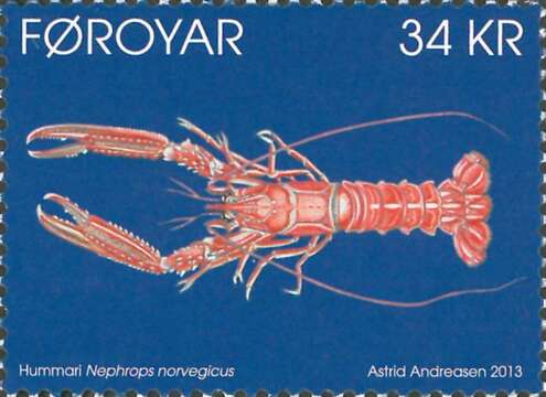 Nephrops Leach 1814 resmi