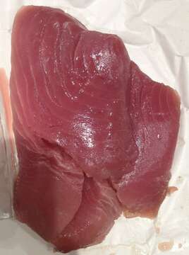 Image of Allison's Tuna