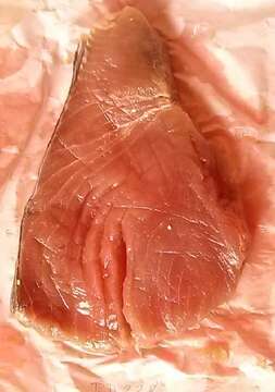 Image de Albacore