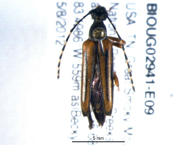 Image of Biota