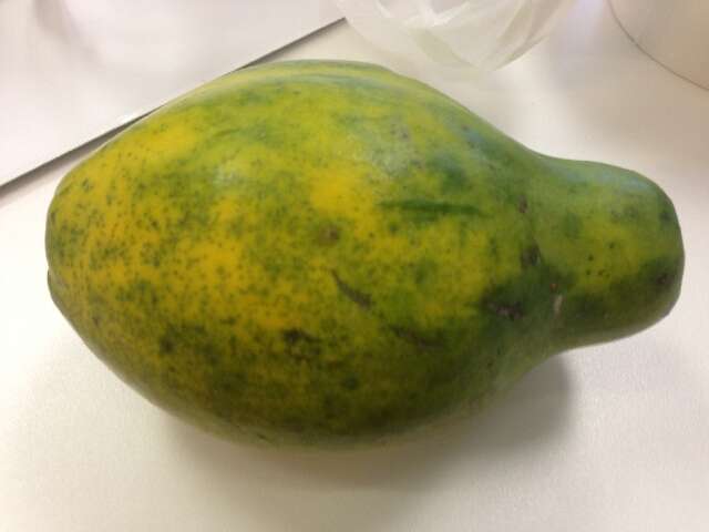 Image of papaya