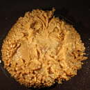 Image of Pom-pom anemone