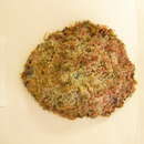 Image of China Limpet