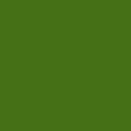 Image of Piperales
