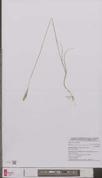 Image of Biota