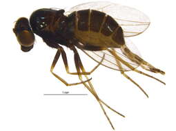 Image of Biota