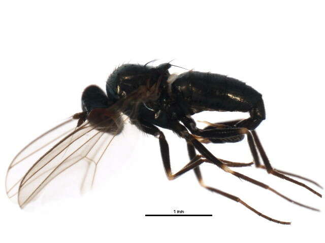 Image of Biota