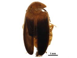 Image de Biota