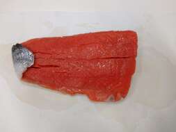 Image of Sockey Salmon