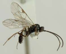 Image of creatures