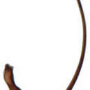 Image of <i>Drakensbergena phaeogramma</i>