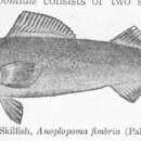 Image of Sablefish
