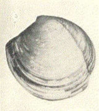 Image de Lucina Bruguière 1797