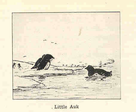 Image of Alle Link 1806