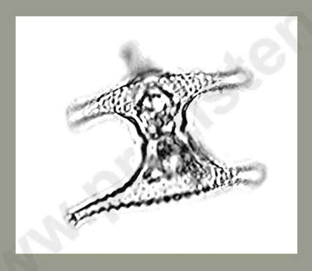 Image of Staurastrum polymorphum