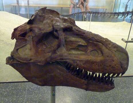 Imagem de Gorgosaurus Lambe 1914