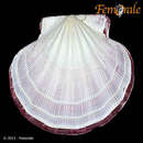 Image of Queen Scallop