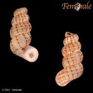 Image of Annulariidae