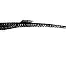 صورة Ichthyocampus carce (Hamilton 1822)