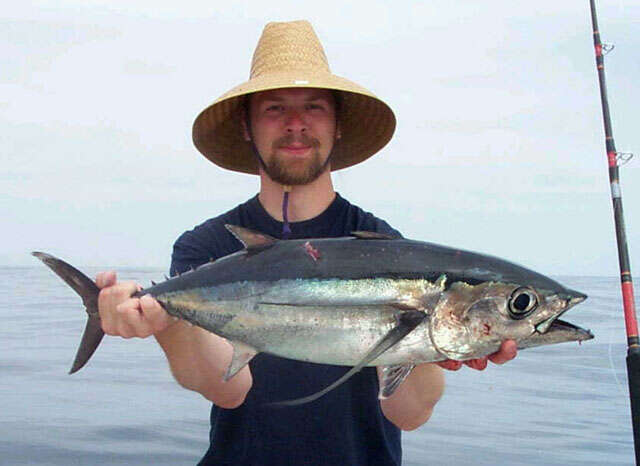 Image of Albacore Fish