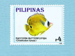 Image of Halfmoon Butterflyfish