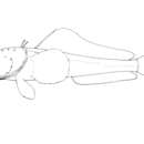 Image of Stubbeard plunderfish