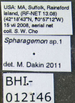 Image of Spharagemon