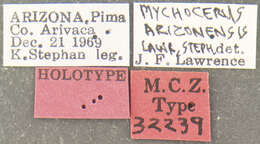 Слика од Mychocerus arizonensis Lawrence & Stephan 1975