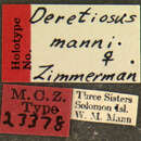 Image of Deretiosus manni Zimmerman 1938