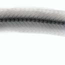 Image of Small-spot eel-blenny