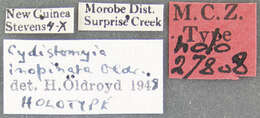 Plancia ëd Cydistomyia inopinata Oldroyd 1949