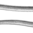 Image of Sooty eel